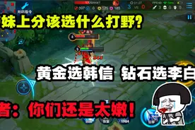 带妹上分该选什么打野？黄金选韩信，钻石选李白，王者：你们太嫩视频封面