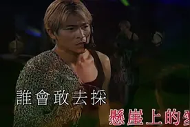 这黄色中分头---------1999年刘德华红馆演唱会视频封面