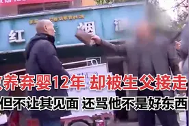 农民夫妻收养弃婴，孩子12岁时却被生父接走，从此不让其见面视频封面