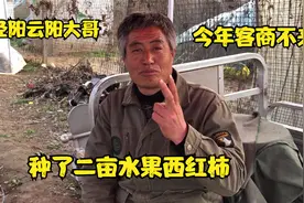 泾阳云阳大哥二亩水果西红柿，今年行情差客商少，听听一斤卖多钱视频封面