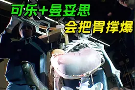 国外老哥作死实验，吃曼妥思喝可乐把胃撑爆？科普纪录片视频封面