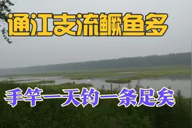 冬钓鳜鱼何必路亚,用好这几招,手竿同样可以擒获鳜鱼视频封面