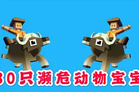 疯狂动物园：濒危动物宝宝有30只，其中11只宝宝带被动技能视频封面