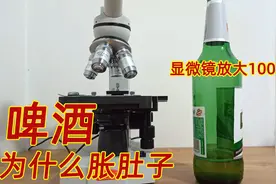 喝了啤酒为什么会胀肚子？显微镜放大100倍观察后，你会茅塞顿开视频封面
