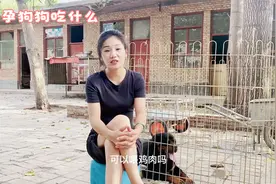 母狗吃鸡肉会导致滑胎？可能是这个小细节没注意，一定要注意