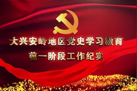 【视频】专题片丨大兴安岭地区党史学习教育前一阶段工作纪实视频封面