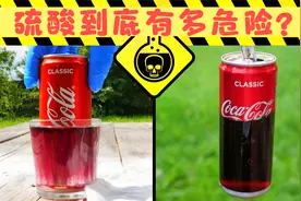 极危险有毒液体实验：硫酸，腐蚀性到底有多恐怖？视频封面