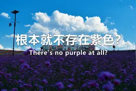 紫色真的不存在吗？真的只是我们大脑自行想像出来的颜色吗？视频封面