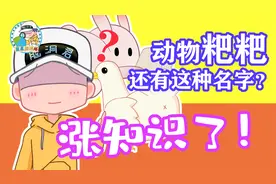 蓝星脑洞所：“败者食尘”？no no no！是“病者食尘”！视频封面