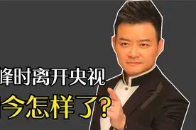 央视的王牌李佳明，为何却因徐小平一句话，从央视辞职？视频封面