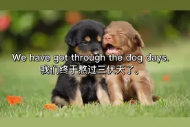 老外说dog days是什么意思？千万别以为他在骂你！视频封面