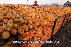 一分钟经济学——大连商品交易所视频封面