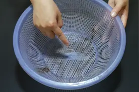 菜篮子脏了孔洞难清洗，教你一招，用它泡一泡，轻轻一擦就干净视频封面