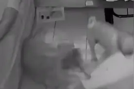 我的作业被狗吃了！男孩醒后看作业被狗撕碎片，监控记录无语一幕视频封面