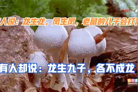 钟乳石不断生长，为何不能算是生物？7.1.2生物的特征和观察法视频封面