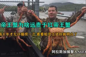 这就是蓝帝王蟹比红帝王蟹贵的原因，看看船员工资你就明白了S6E6视频封面