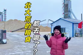 北大荒的粮食都去哪了？几十台大卡车排队卸粮进仓，这场面很壮观视频封面