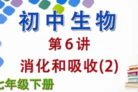 初中初一生物七年级生物下册第6讲：消化和吸收（2）视频封面