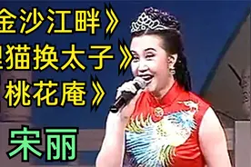 盘点评剧名家宋丽，《金沙江畔》《桃花庵》精彩值得一听的唱段。视频封面