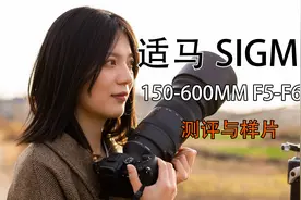 适马 150-600mm f5-f6.3 镜头打鸟简单测试(hdr)视频封面