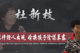 偷换背后阴谋炸锅！神秘人证曝光杜新枝贿赂手段，杜新枝插翅难飞视频封面