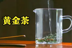 是茶也是药 珍稀的保靖黄金茶每粒皆有灵性视频封面