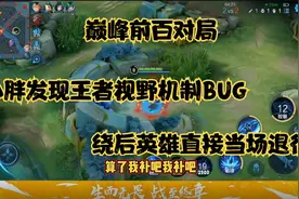 巅峰前百对局 小胖发现王者视野机制BUG 绕后英雄直接当场退役！视频封面