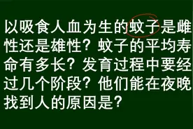 百科问答：吸食人血的蚊子是雌性还是雄性？
