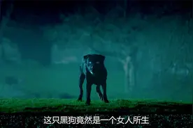 女子十月怀胎 竟然生下了只黑狗视频封面