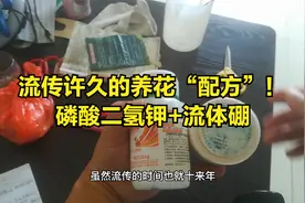 磷酸二氢钾2:1流体硼，这道流传了很久的养花配方，你知道吗？视频封面