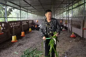 “三德子”赵亮隐居四川深山养鸡：拍戏赚的钱就补贴养鸡视频封面
