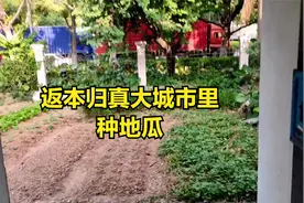 (10/21/2020)兼职顺丰同城月收入过万，入职渠道有很多种注意看了视频封面