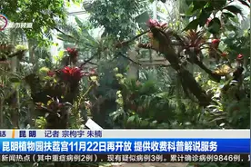 昆明植物园扶荔宫11月22日再开放 提供收费科普解说服务视频封面