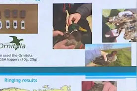 俄公布美在乌实施军事生物计划材料：曾进行蝙蝠冠状病毒试验视频封面