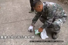 【1818黄金眼】寻访秘境生存者：金豆猕猴和松鼠，他的身上有光芒视频封面