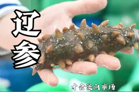 谷医堂地道药材之辽参：延年益寿抗衰老，被誉为“参中之冠”视频封面