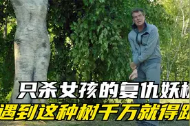 一棵007白天不挖，风雨夜才来挖的百年妖树视频封面