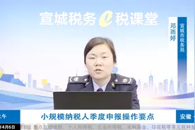 小规模纳税人必知-季度纳税申报网上报税操作要点视频封面