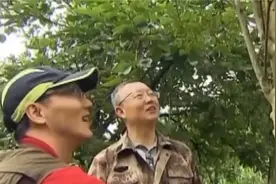 一颗千年古树被称为“痒痒树”，一挠它就会晃动，真是奇妙视频封面