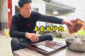 天上龙肉，地下驴肉，孬蛋今天做“五香酱驴肉”火烧夹着吃，真香视频封面
