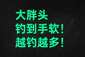 大胖头钓到手软，越钓越多！13位老师傅的花鲢白鲢钓法视频封面