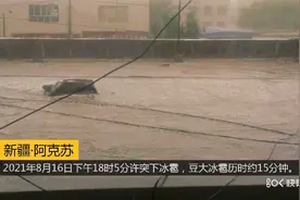 新疆阿克苏市突下冰雹，豆大冰雹历时15分钟，果农遭受损失视频封面