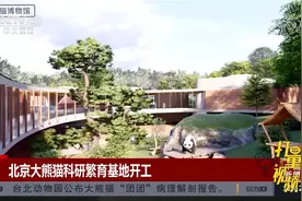 速看！北京大熊猫科研繁育基地开工|中国新闻视频封面