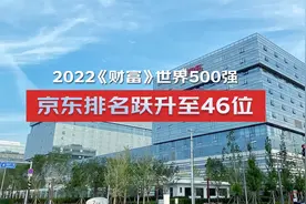 2022世界500强京东跃升至46位 链网融合成为新型实体企业最佳实践视频封面