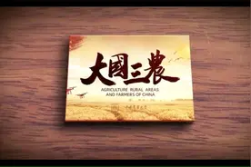 大国三农-中国农业三大标志性成果视频封面