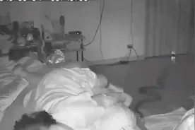恐怖！泰国老妇深夜睡觉被剧痛惊醒 起身一看3米巨蟒脚边蠢蠢欲动视频封面
