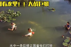 众人为了寻找血兰花，不幸遭遇巨蟒，一个字！！gan!!视频封面