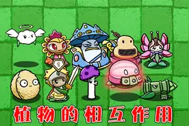 植物大战僵尸：不同植物相互搭配，都会产生哪些效果呢？视频封面