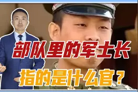 部队里的军士长，指的是什么官？电视剧《士兵突击》，已告诉答案