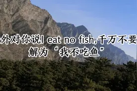 老外对你说I eat no fish，千万不要理解为“我不吃鱼”视频封面